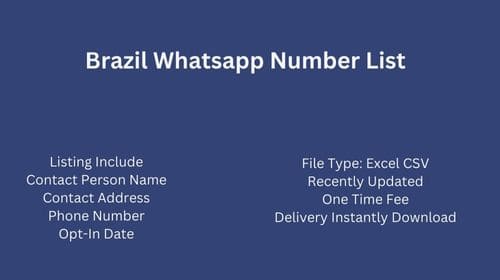 Brazil Whatsapp Number List